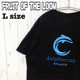 フルーツオブザルーム(FRUIT OF THE LOOM)のフルーツオブザルーム　イルカ　バックプリント　Lサイズ　ビッグシルエット　古着(Tシャツ/カットソー(半袖/袖なし))