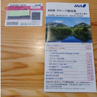 エーエヌエー(ゼンニッポンクウユ)(ANA(全日本空輸))のANA 優待券(その他)