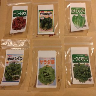 サラダ野菜　種子　６種類セット　各20粒強入り(野菜)