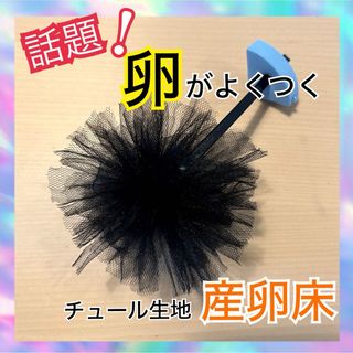 めだか　産卵床　１０個セット