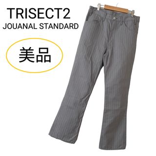 TRISECT - 美品 ジャーナルスタンダード トライセクト2 ストライプ パンツ グレー系