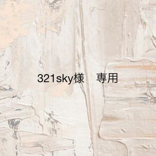 321sky様　専用(5/30発送)(ピアス)