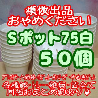 《Sポット75》白 50個 スリット鉢 プラ鉢2.5号鉢相当 多肉植物プレステラ(プランター)