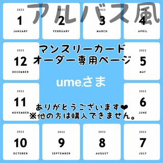 【ume.さま専用ページ】マンスリーカード【アルバス風】(アルバム)