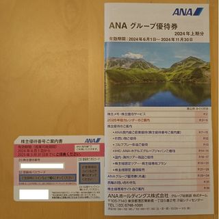 エーエヌエー(ゼンニッポンクウユ)(ANA(全日本空輸))のANA 株主優待券1枚分（追加5枚まで購入可能）(その他)