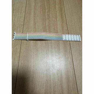 Apple Watch純正バンド　40mm PrideSportLoop2021(その他)