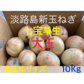 七宝早生♦️秀品3Lサイズ10Kg ♦️淡路島新玉ねぎ　たまねぎ　玉葱