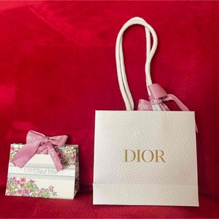 Christian Dior - 美品　DIOR Dior ショップ　紙袋　2点　リボン付　プレゼント　ギフト