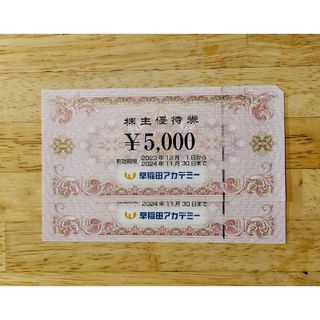 早稲田アカデミー　利用券　10000円分(その他)