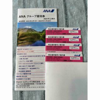 エーエヌエー(ゼンニッポンクウユ)(ANA(全日本空輸))のANA株主優待券(その他)