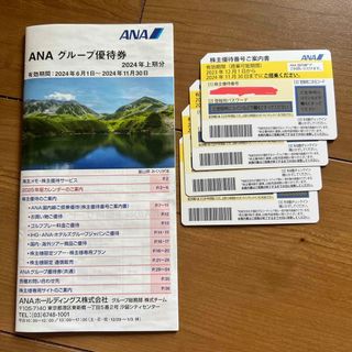 エーエヌエー(ゼンニッポンクウユ)(ANA(全日本空輸))のANA株主優待券(その他)