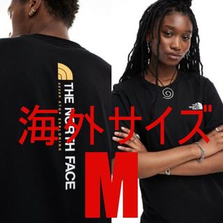 THE NORTH FACE - 【The North Face】バーティカルNSE  Tシャツ