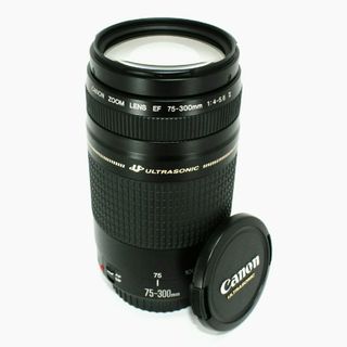 キヤノン(Canon)の✨ 訳あり完動品✨ Canon EF 75-300mm II 超望遠ズームレンズ(レンズ(ズーム))