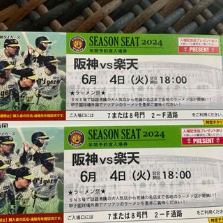 阪神タイガース - 甲子園　阪神タイガース　グリーンシート　6月4日(火)18時~