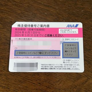 エーエヌエー(ゼンニッポンクウユ)(ANA(全日本空輸))のANA株主優待券(その他)