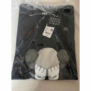 Kaws Graphic Tee Gray KAWS TOKYO FIRST(Tシャツ/カットソー(半袖/袖なし))