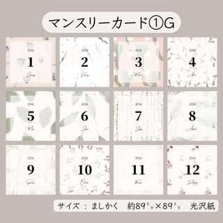 マンスリーカード① 𝐆 𖤣𖥧 12枚セット(アルバム)