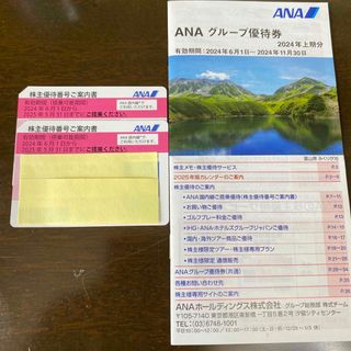 ANA(全日本空輸) - ANA 株主優待券