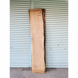 天然栓の木 一枚板　デスク/カウンターテーブル/棚板/天板(バーテーブル/カウンターテーブル)
