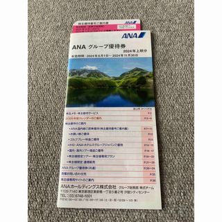 エーエヌエー(ゼンニッポンクウユ)(ANA(全日本空輸))のANA 全日空　優待　株主優待券　搭乗　割引券　1枚(航空券)