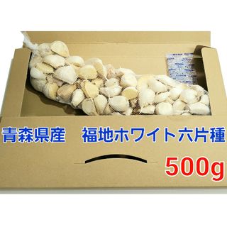 令和5年度　青森県産　500g　にんにく福地ホワイト(野菜)