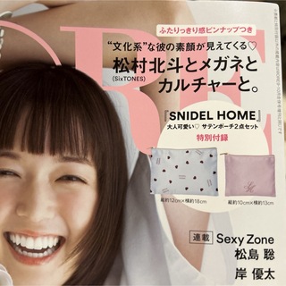 SNIDEL HOME - SNIDEL HOME サテンポーチ2点セットMORE 2023年9・10月号