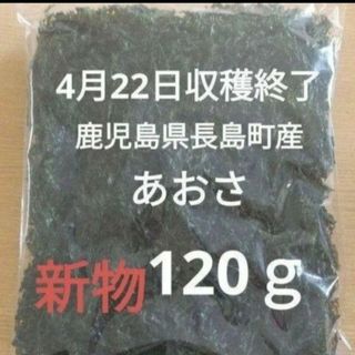 4月22日収穫終了 鹿児島県長島町産あおさ あおさのり 乾燥あおさ(乾物)