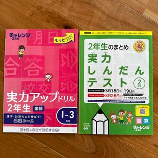 進研ゼミ 小学講座★2年生 実力しんだんテスト★実力アップテスト★(その他)