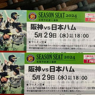 阪神タイガース - 甲子園　阪神タイガース　グリーンシート　5月29日(水)18時~