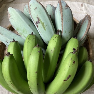 自然栽培　　台湾＆品種不明バナナ(フルーツ)