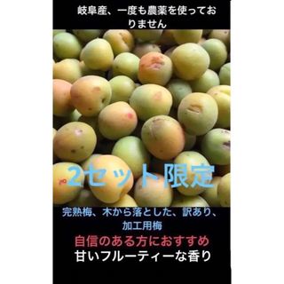 岐阜産、無消毒 　自然任せ、訳あり、樹上完熟梅、加工用梅  ■2000g