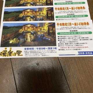 湯楽の里　無料招待券　2枚セット　4/1〜6/30  ⭐︎送料無料⭐︎(その他)