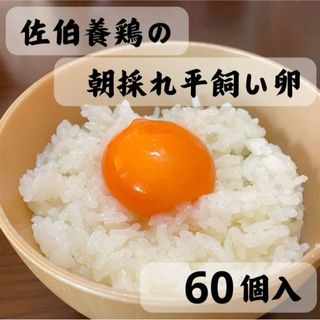 60個入り　佐伯養鶏場の平飼い卵(その他)