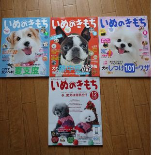 ベネッセ(Benesse)のいぬのきもち 2014年、2015年 4冊セット(その他)