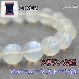 ブレスレット ブルームーンストーン7A 10mm スリランカ産 天然石(ブレスレット/バングル)