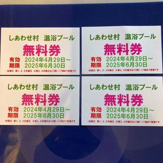 愛知県　東海市　しあわせ村　温浴プール　無料券(その他)