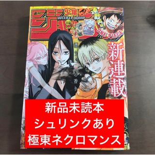 シュウエイシャ(集英社)の少年ジャンプ 2024年21号 極東ネクロマンス 那波歩才 5月6日号 新連載(アート/エンタメ/ホビー)