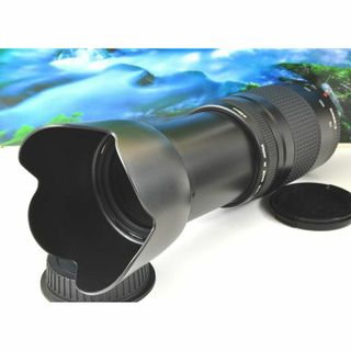 キヤノン(Canon)のもっと遠くへ！一眼用 望遠レンズ キヤノン EF75-300mm Canon(レンズ(ズーム))