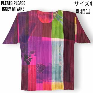 プリーツプリーズイッセイミヤケ(PLEATS PLEASE ISSEY MIYAKE)の【美品】プリーツプリーズ イッセイミヤケ 大きいサイズ パッチワーク カットソー(カットソー(半袖/袖なし))