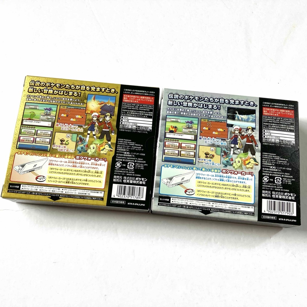 ニンテンドーDS - 【完備品】ポケットモンスター ハートゴールド ニンテンドーDS - 【完備品】ポケットモンスター ハートゴールド