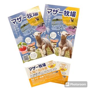 【最安値！】マザー牧場 入場ご招待券 2枚 ペア 6月30日まで有効 (その他)