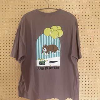 レディース　Ｔシャツ