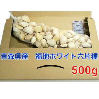 令和5年度　青森県産　500g　にんにく福地ホワイト(野菜)