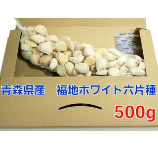 令和5年度　青森県産　500g　にんにく福地ホワイト