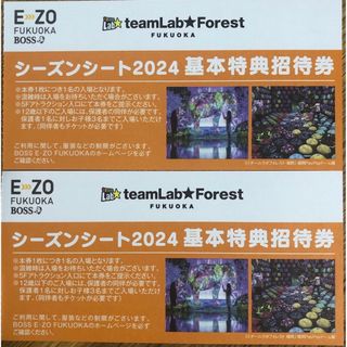 ボスイーゾフクオカ　チームラボフォレスト　無料招待券2枚セット(その他)