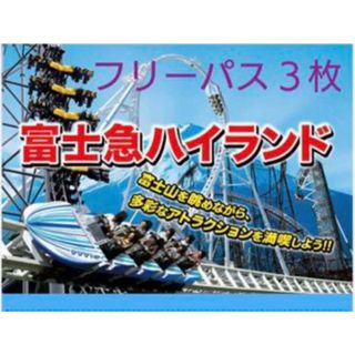 富士急ハイランド フリーパス 引換券 3枚(その他)