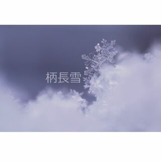 ＃１３０３ 雪の結晶の写真 ２Ｌサイズ （127×178mm）(写真)