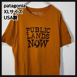 パタゴニア(patagonia)の【パタゴニア】USA製　半袖Tシャツ　ブラウン茶色　オーガニックコットン59(Tシャツ/カットソー(半袖/袖なし))