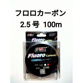 フロロカーボン　ライン　2.5号　100m　11.86lb　釣り糸　リーダー