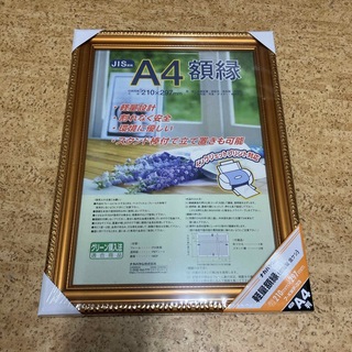ナカバヤシ 樹脂製軽量額縁 金ケシ A4判(JIS規格) フ-KWP-33/N(絵画額縁)
